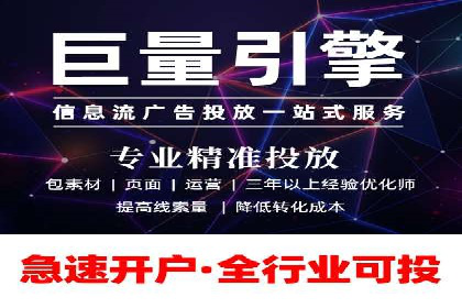 XX行业竞价广告的投放策略与效果分析